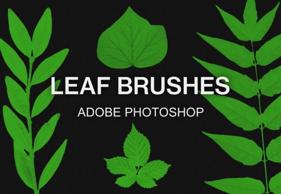 Elevating Digital Artistry: The Strategic Value of the Photoshop Leaf Brushes Pack Bundle