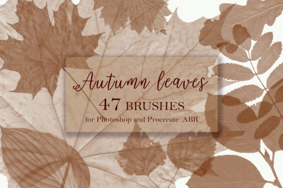 Evaluating Autumn Leaves Brushes for Photoshop and Procreate