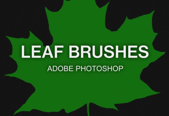 Leaf Photoshop Brushes Set Silhouette Guide