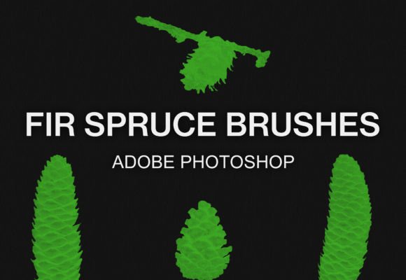 Mastering Nature Textures: A Guide to Fir and Spruce Cone Photoshop Brushes