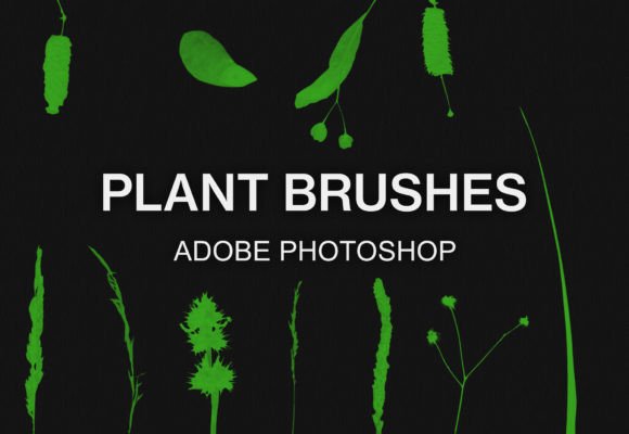 Transform Your Digital Art with the Ultimate 23 Photoshop Plant Silhouette Brushes Pack